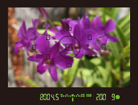 如何调整佳能单反相机参数设置,佳能单反相机基本使用教程