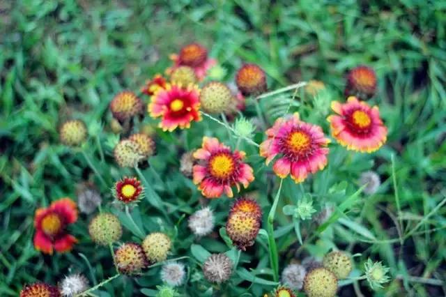 沈阳周边哪个海岛好玩一点,沈阳周边最美的景色都有哪些