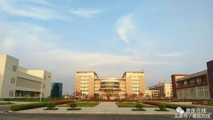 学实用专业不收学费吗,国家补贴免学费专业