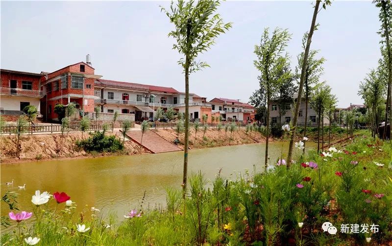 南昌市撤乡设镇新闻,南昌县改区最新进展