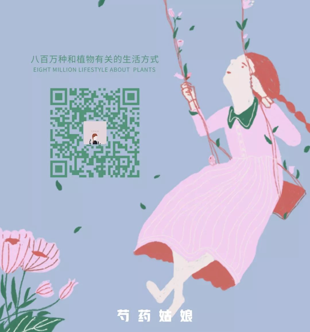 宋慧乔开播新剧,宋慧乔新剧美貌