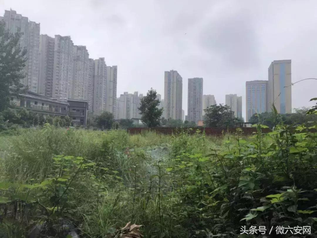 成都宽窄巷子2期,宽窄巷子太古里攻略