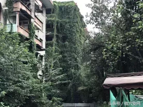 成都宽窄巷子2期,宽窄巷子太古里攻略