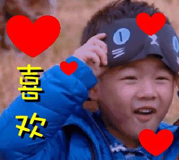 苏州最大的花鸟市场新搬在哪里,苏州花鸟市场营业时间