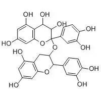 亲测healthycare葡萄籽,进口葡萄籽哪个牌子好