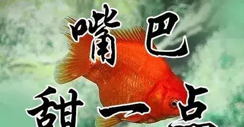 知足常乐每天都要保持开心的状态,知足常乐开心过好每一天