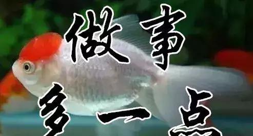 知足常乐每天都要保持开心的状态,知足常乐开心过好每一天