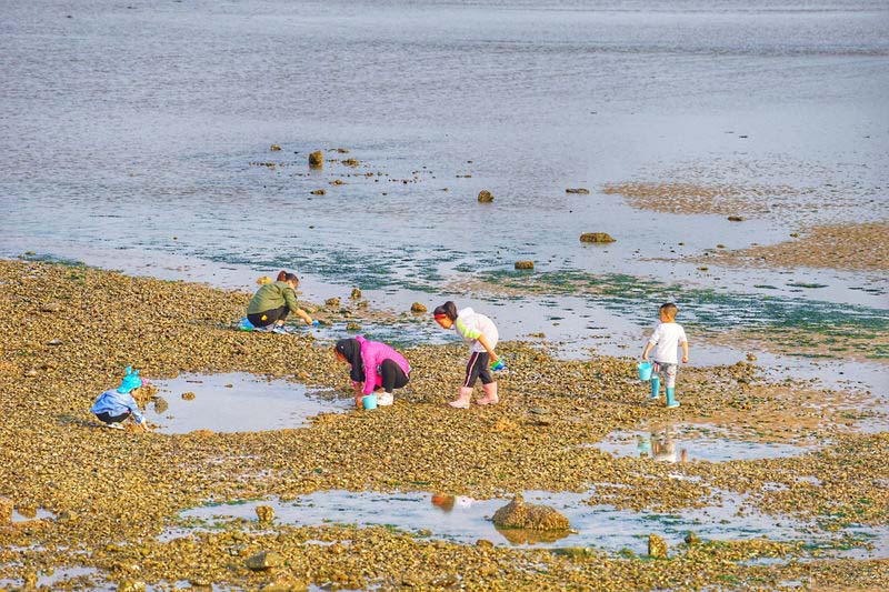 日照旅游攻略日照有山有海有海鲜,日照吴家台大海渔家