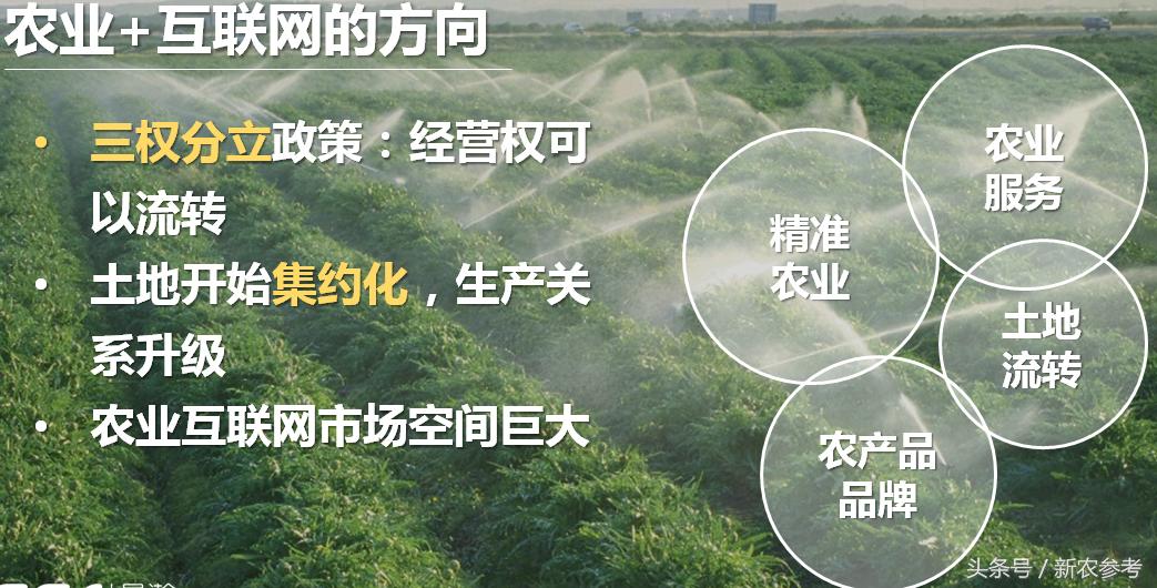 未来农业投资机会,投资农业需要把握的五个关键点