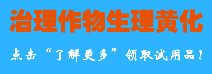 百香果开花都干了掉了是怎么回事,黄金百香果开花不结果怎么回事
