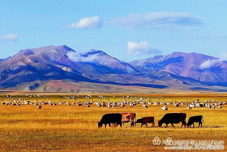新疆巴音布鲁克怎么样,新疆巴音布鲁克咋样