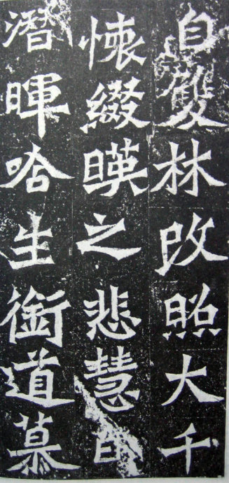 龙门二十品造像书法,龙门造像二十品