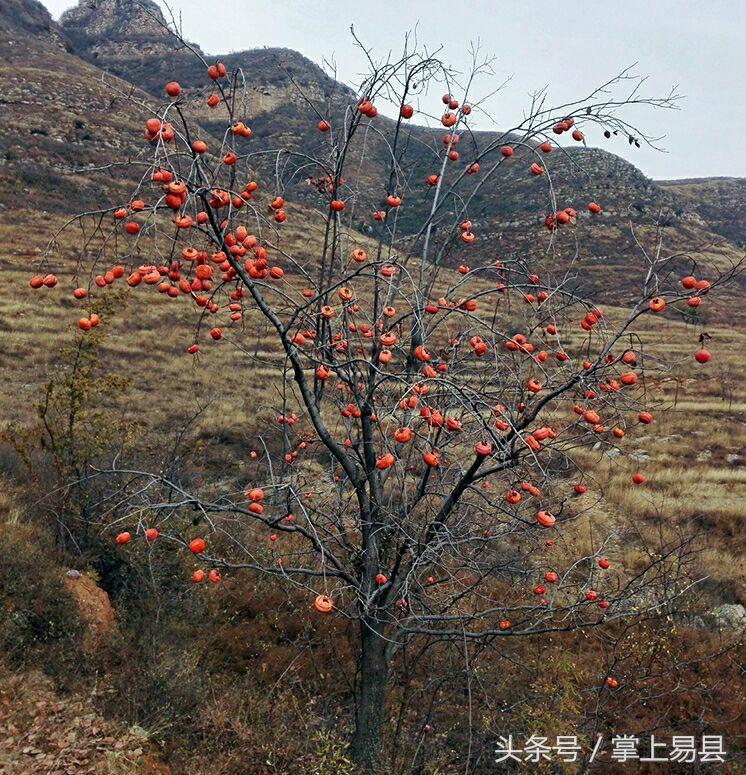 窟窿山,凤凰山星月