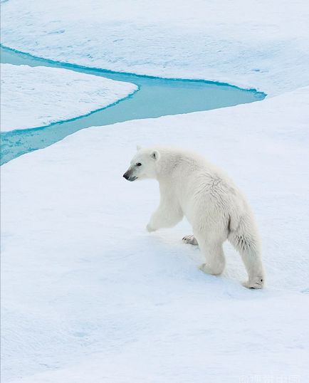 网文月入90万,00后大四学生写网文月入百万