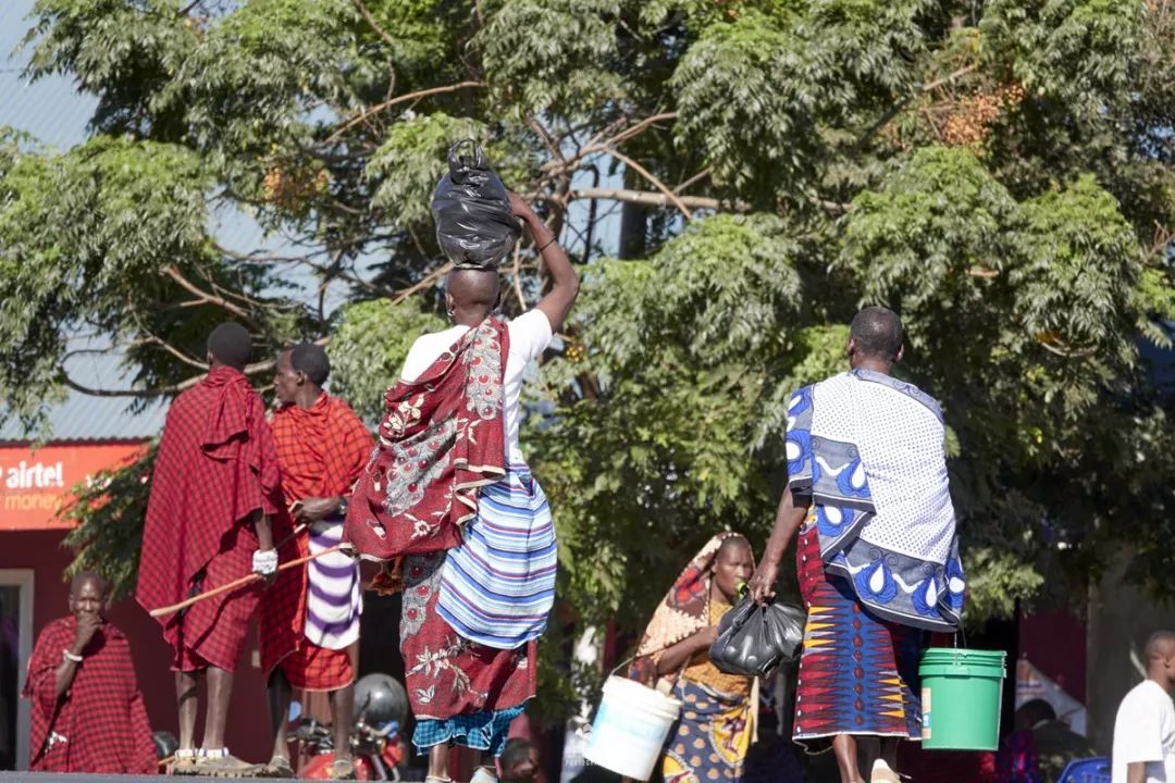 肯尼亚和坦桑尼亚哪个值得去,坦桑尼亚刚刚好之行