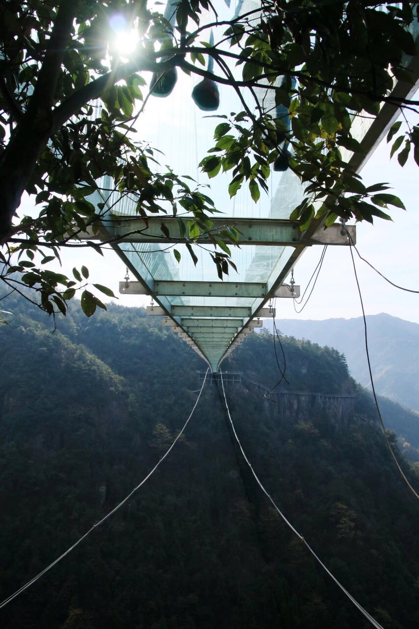 八月份适合旅游的避暑地方,磐安乌石村清凉避暑好去处