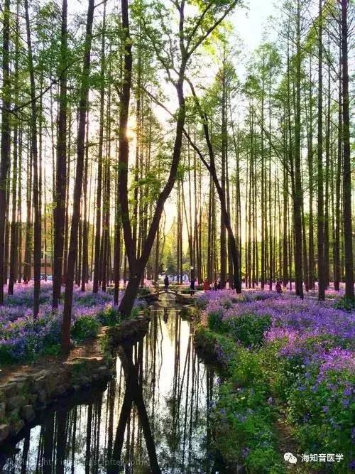 醉美中国——江苏