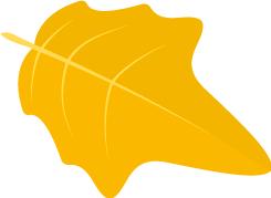 绁炵粡鍐呯鍓嶆部鐭ヨ瘑,绁炵粡鍐呯鐩稿叧鏂扮煡璇嗘柊杩涘睍