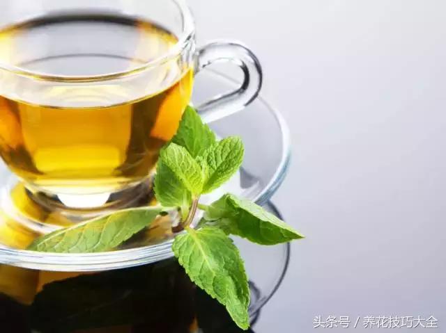 入睡困难也容易醒吃什么助眠药,入睡困难惊醒吃什么助睡眠的药好