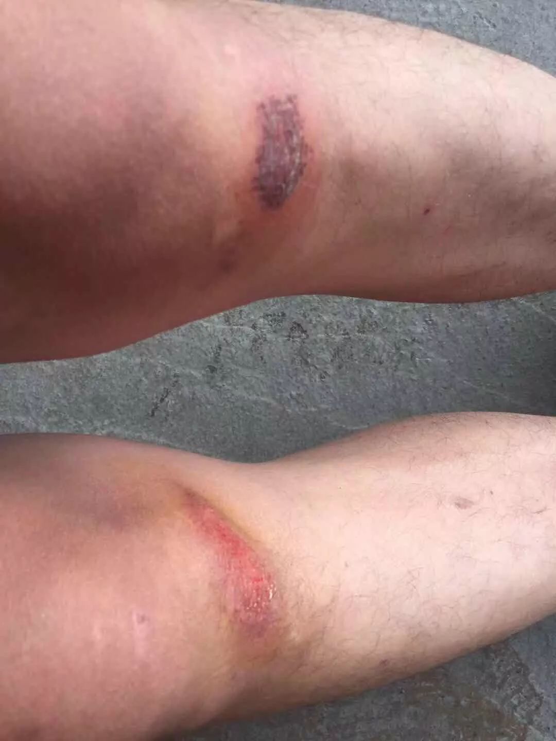 萌叔金鸡奖,萌叔拿奖