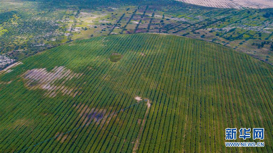 天空之眼瞰库布其沙漠