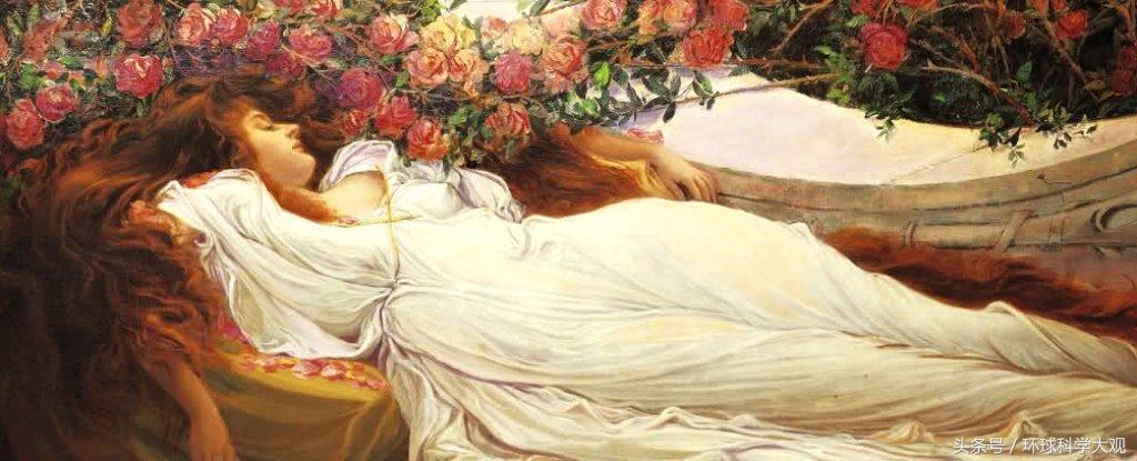 科学家人为什么做梦,科学家对做梦的科学证实