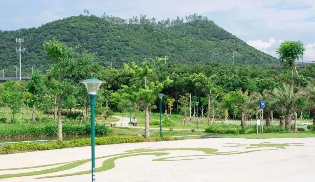 深圳最新开放公园景点图片欣赏,深圳最新的一个超级公园