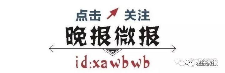 悦读周刊,悦读周刊完整视频