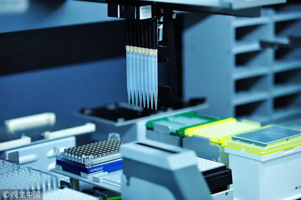 无创基因产前检测之争,产前无创基因筛查报告