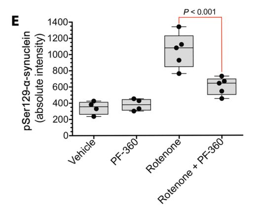 《科学》子刊：科学家首次证实正常的LRRK2基因也会促进帕金森病，90%发病原因不明的患者或许也有救了｜科学大发现