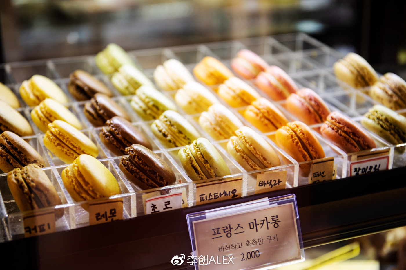 济州岛即将上演的童话世界,去济州岛旅行的感受