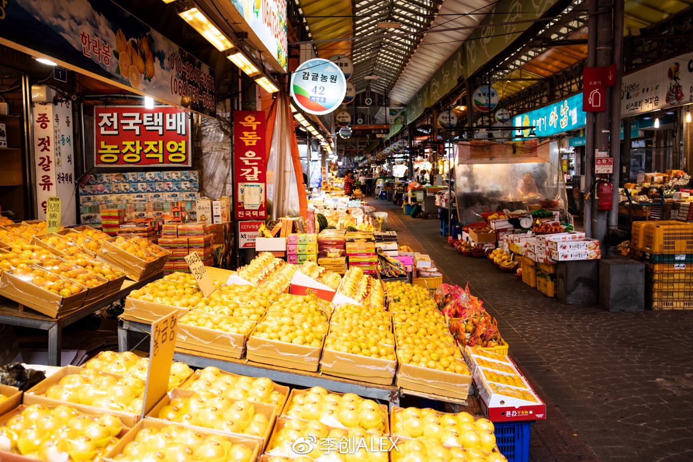 济州岛即将上演的童话世界,去济州岛旅行的感受