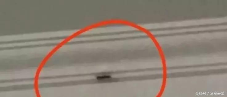 外卖小哥顾客奇葩评价,盘点外卖小哥送的奇葩订单