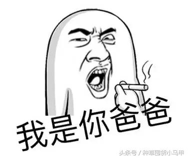 曝光海外代购圈中黑幕,揭秘国外化妆品的价格