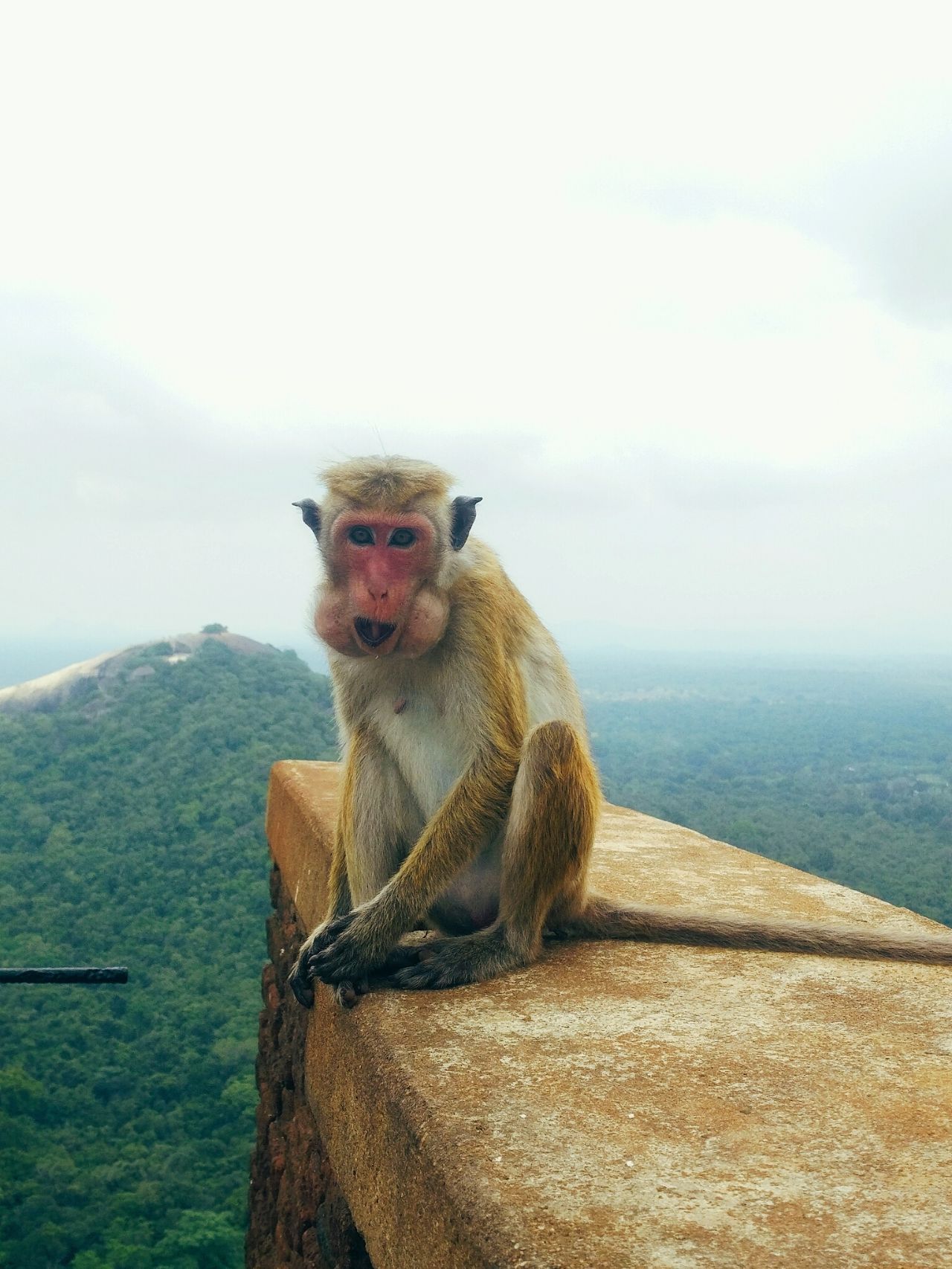 斯里兰卡7月旅游穿衣攻略,斯里兰卡旅游攻略情侣夏季