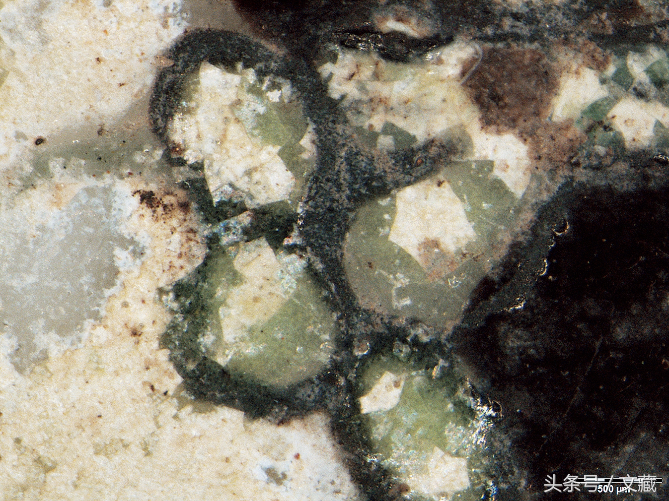 瓷胎画珐琅彩图案上有网格纹,清宫珐琅彩精美瓷盘图片欣赏