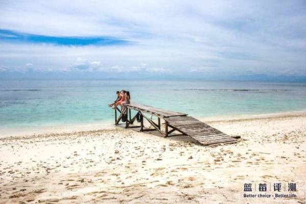 蓝莓评测美国蓝莓,蓝莓评测