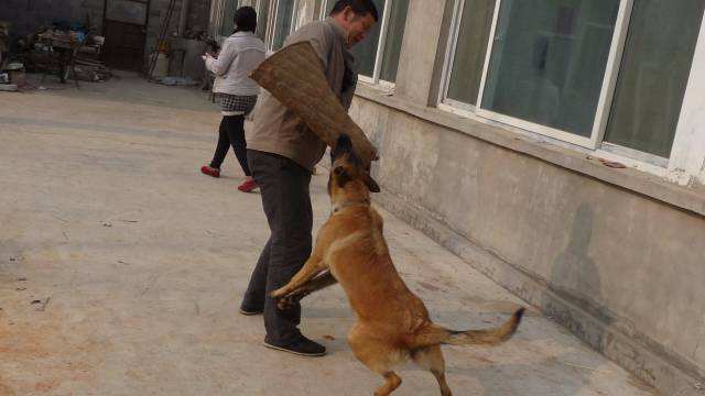 儿童被儿童咬伤了怎么处理最好,宝宝被小孩子咬伤要打破伤风吗