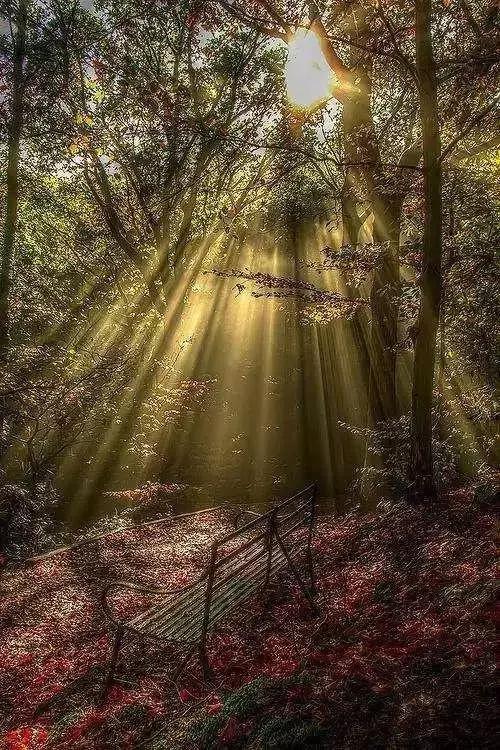 全套摄影口诀完整版,摄影美姿技巧口诀