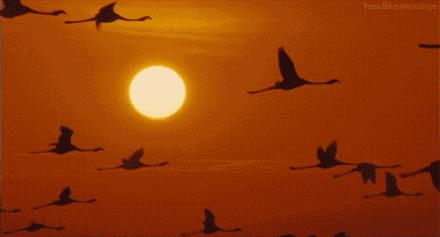 全套摄影口诀完整版,摄影美姿技巧口诀