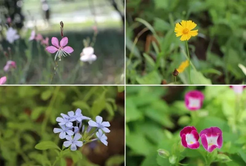 终于等到你的另一种表达,终于等到你内在的含义