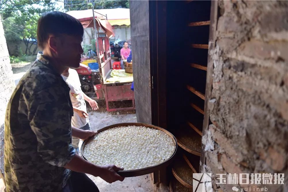鐜夋灄鍦扮悊鏍囧織璇佹槑鍟嗘爣,鐜夋灄棣栦欢鍦扮悊鏍囧織璇佹槑鍟嗘爣