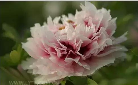 8.8发财日的祝福,8月18日发财日早安祝福图片