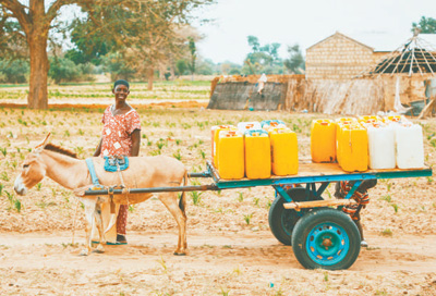 感谢及时雨文案短句干净,感谢中国及时伸出援手