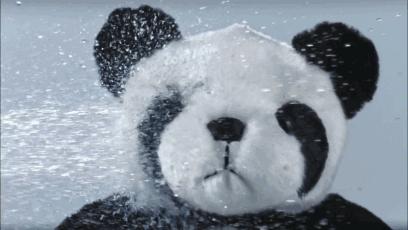 河南省郑州市女子怀孕前后,河南郑州女子怀孕前后