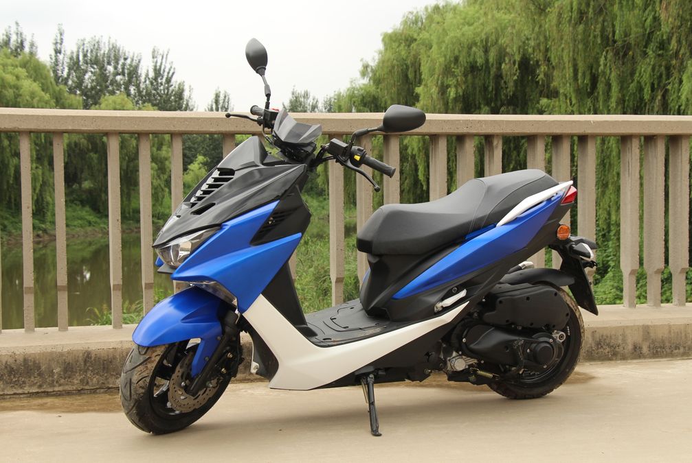 高颜值蚂蚱,漂亮巨型蚂蚱