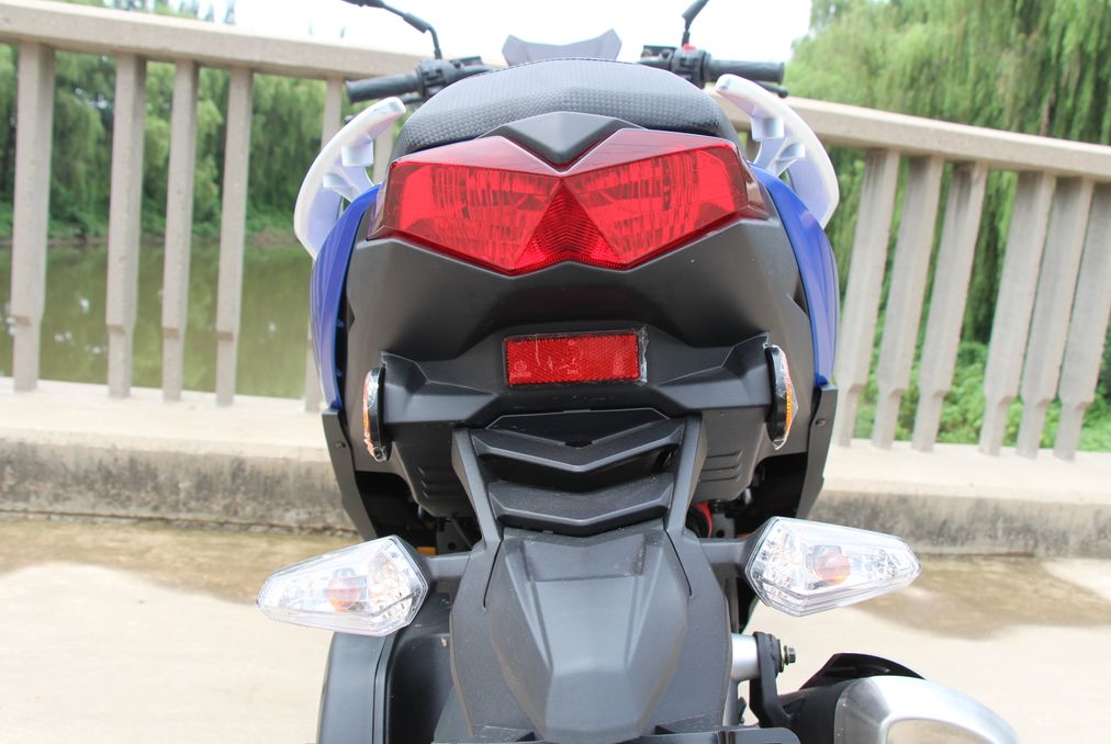 高颜值蚂蚱,漂亮巨型蚂蚱