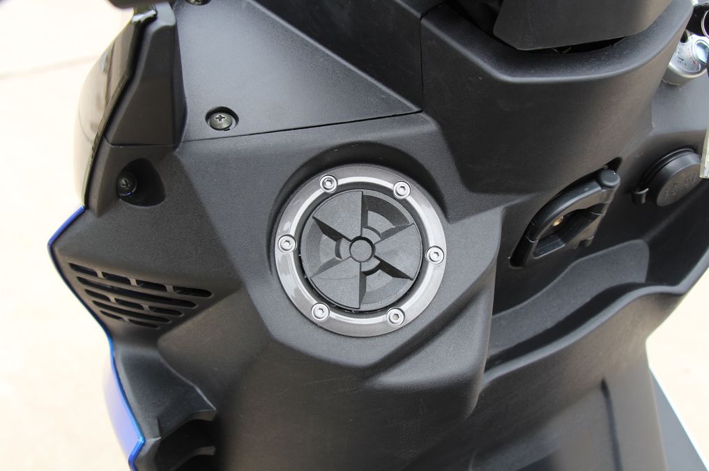 高颜值蚂蚱,漂亮巨型蚂蚱