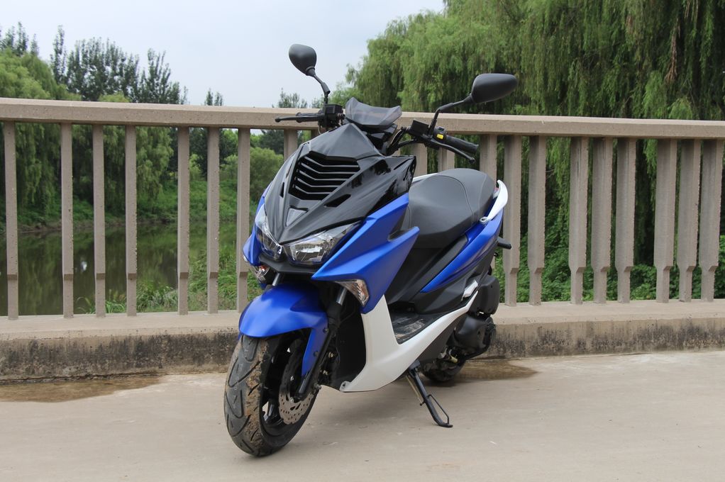 高颜值蚂蚱,漂亮巨型蚂蚱