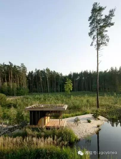 茶空间设计顶级作品案例,大师级茶空间效果图